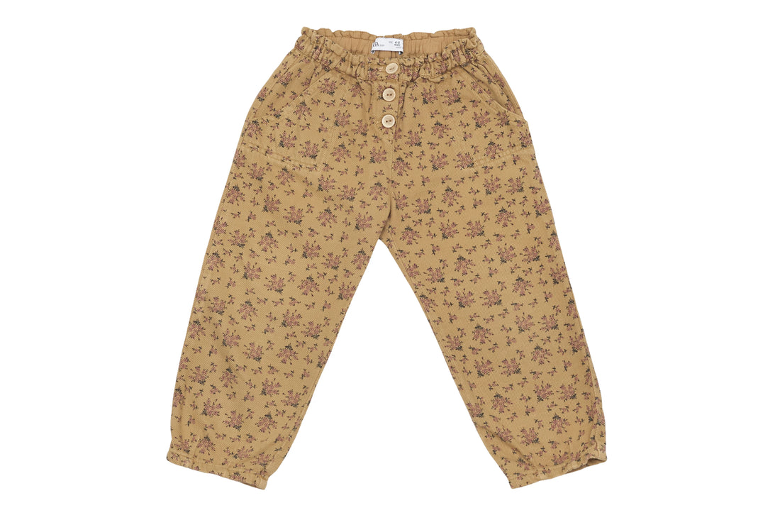 Zara Whimsical Floral Dream Pants