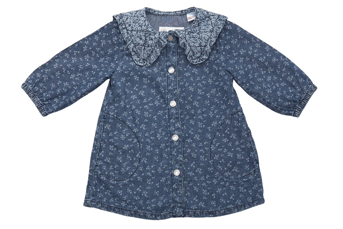 Zara Floral Denim Ruffle Dress