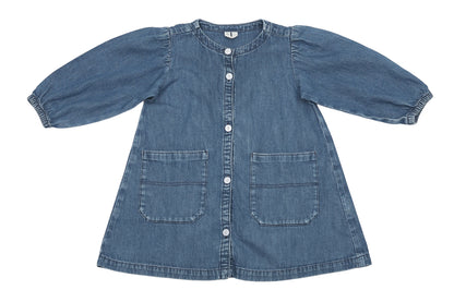Arket Denim Dreamer Button-Front Dress