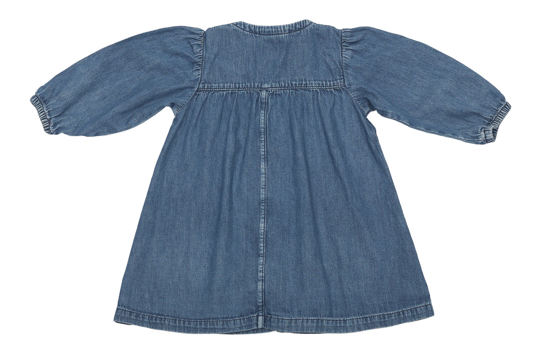 Arket Denim Dreamer Button-Front Dress