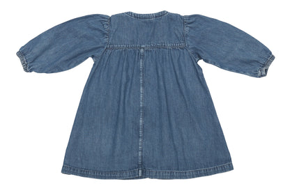 Arket Denim Dreamer Button-Front Dress