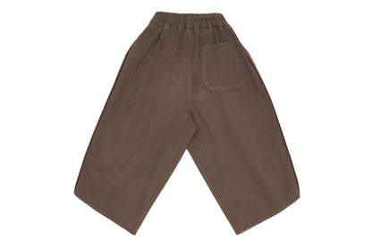 Zara Earthy Adventure Pants