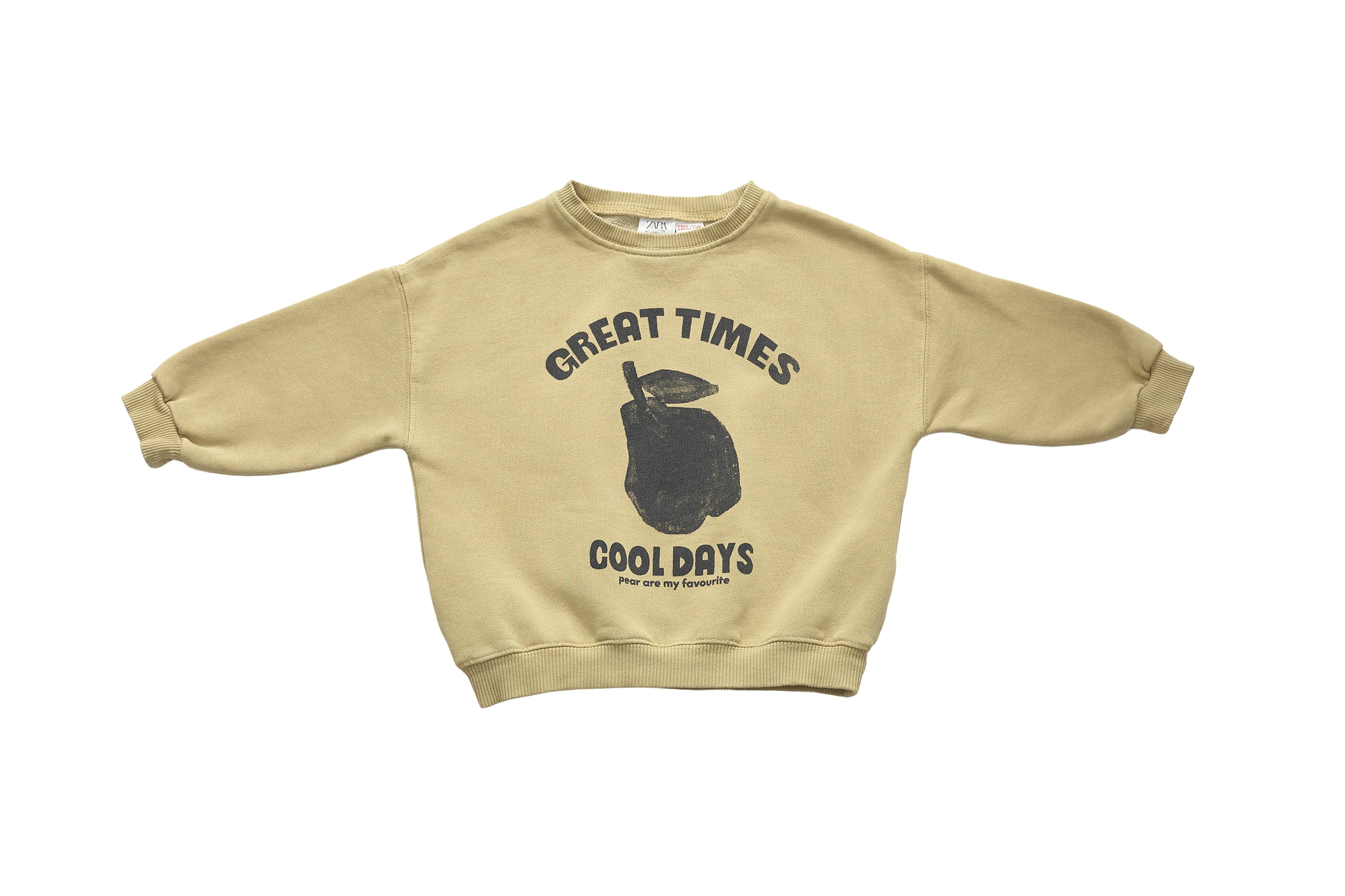 Zara Pear Graphic Sweatshirt