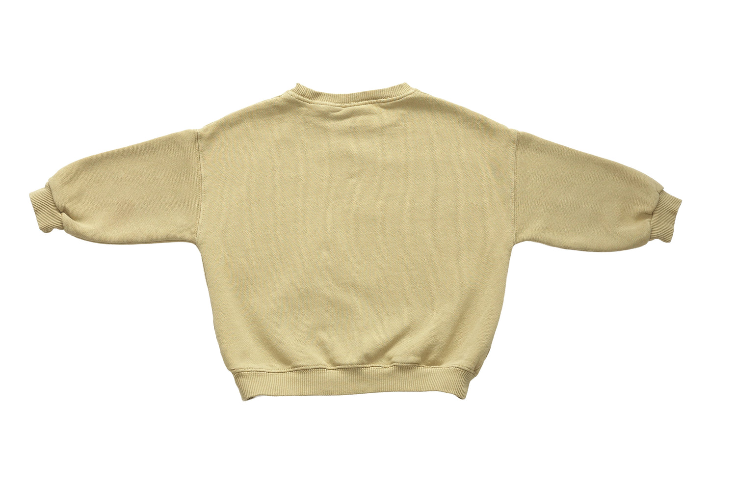 Zara Pear Graphic Sweatshirt
