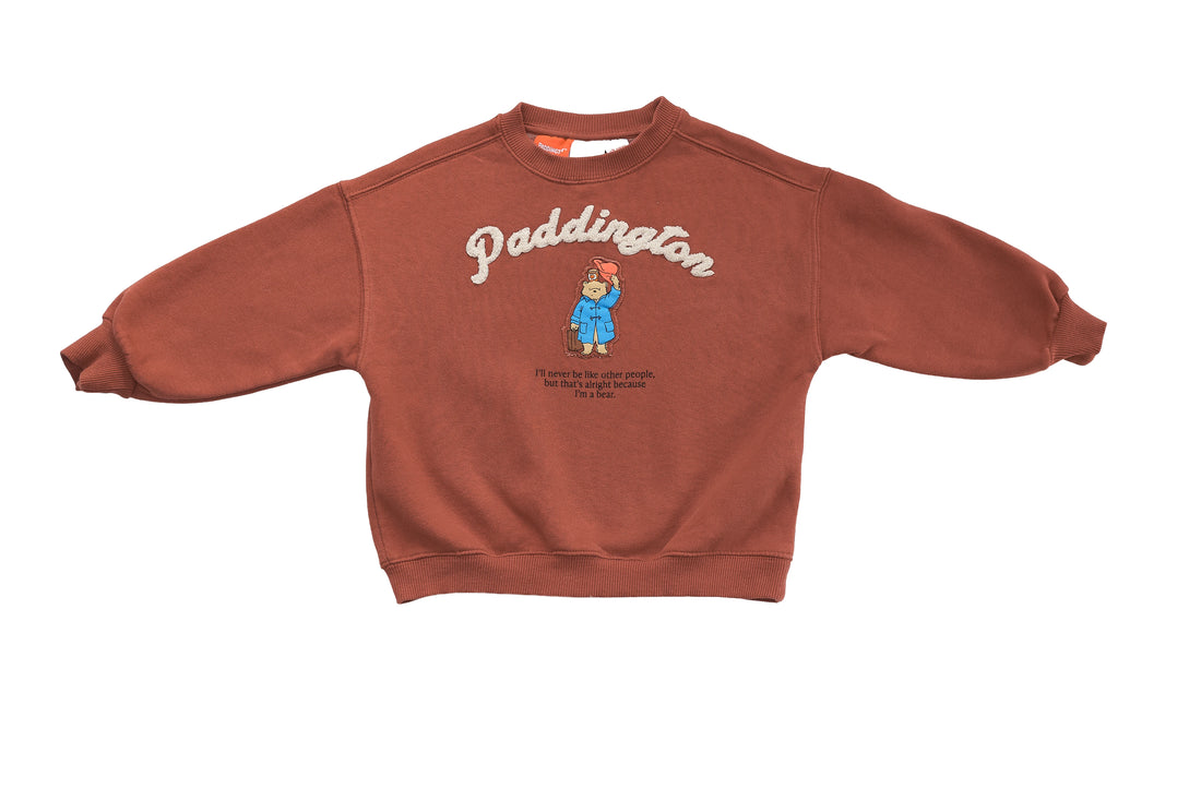 Zara Paddington Bear Sweatshirt in Terracotta